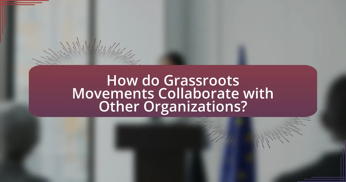 How do Grassroots Movements Collaborate with Other Organizations?