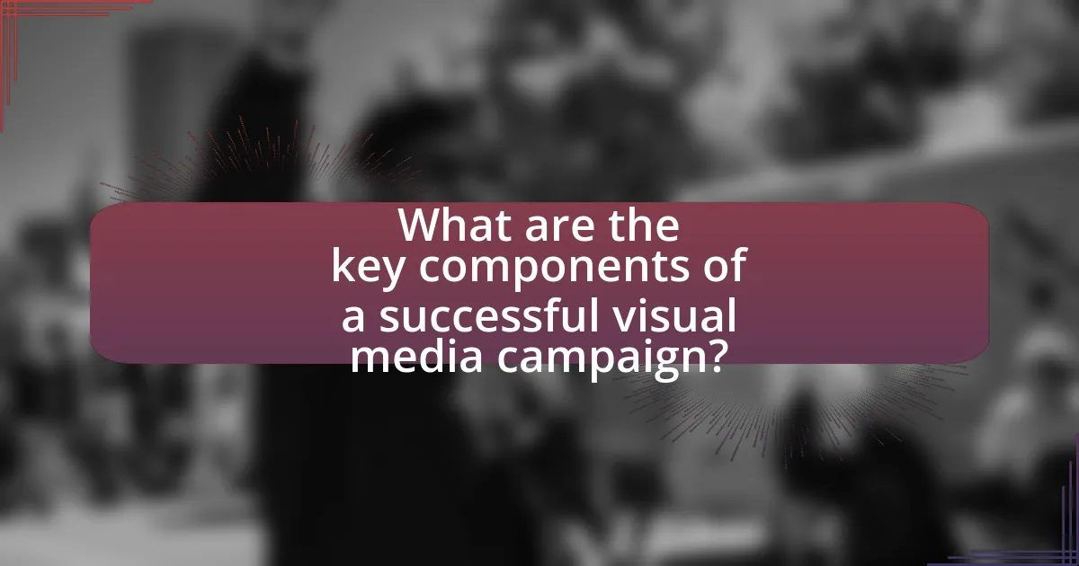 What are the key components of a successful visual media campaign?